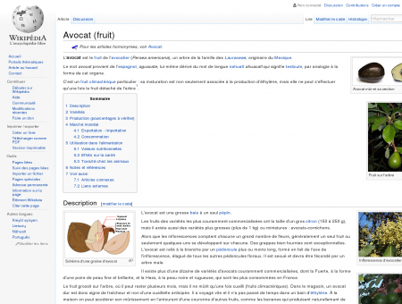 Avocat (fruit)  Wikipédia