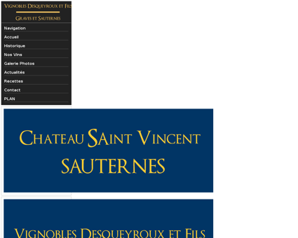 services Saint Vincent