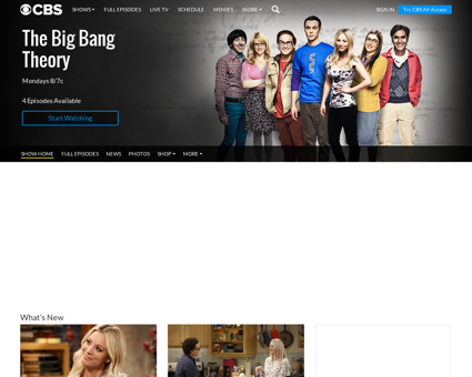 Big bang theory Bernadette