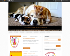 jfg networks Occitanie